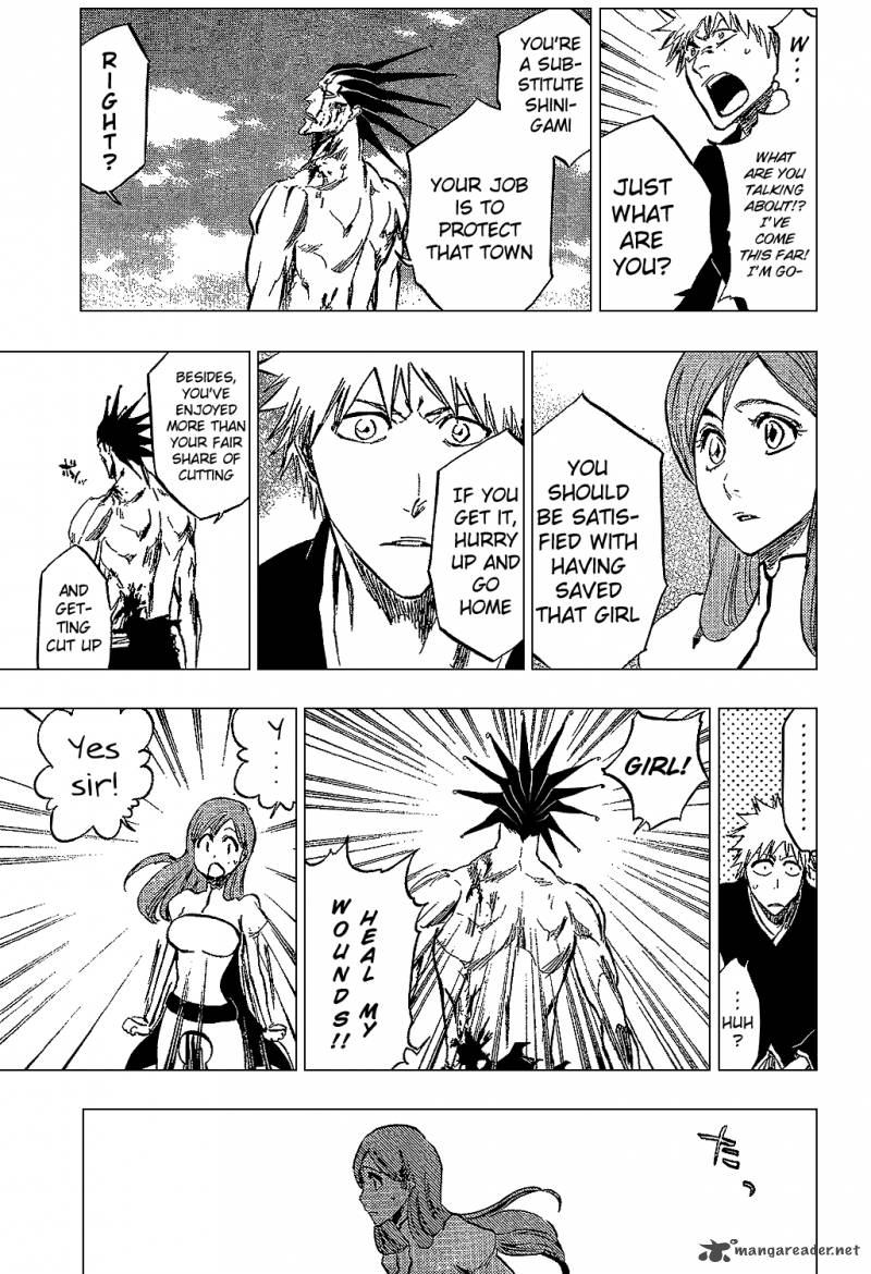 Bleach 313 15