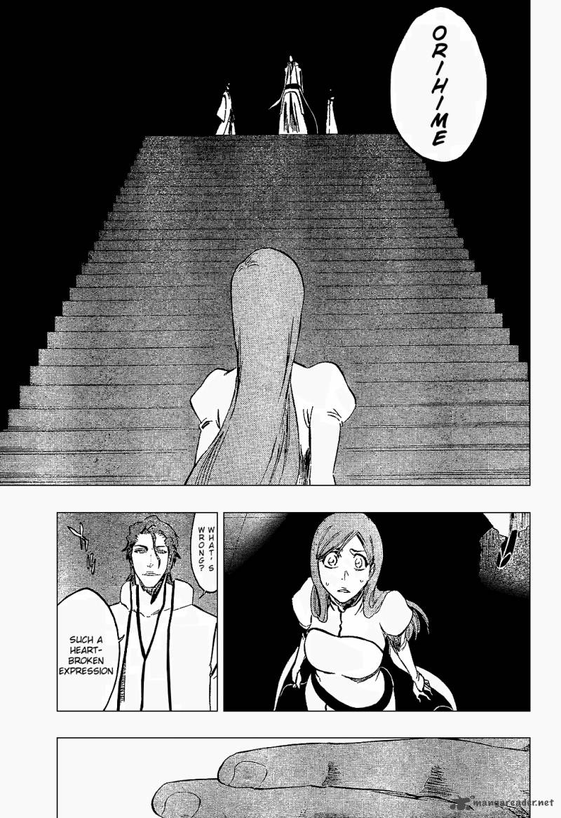 Bleach 313 19