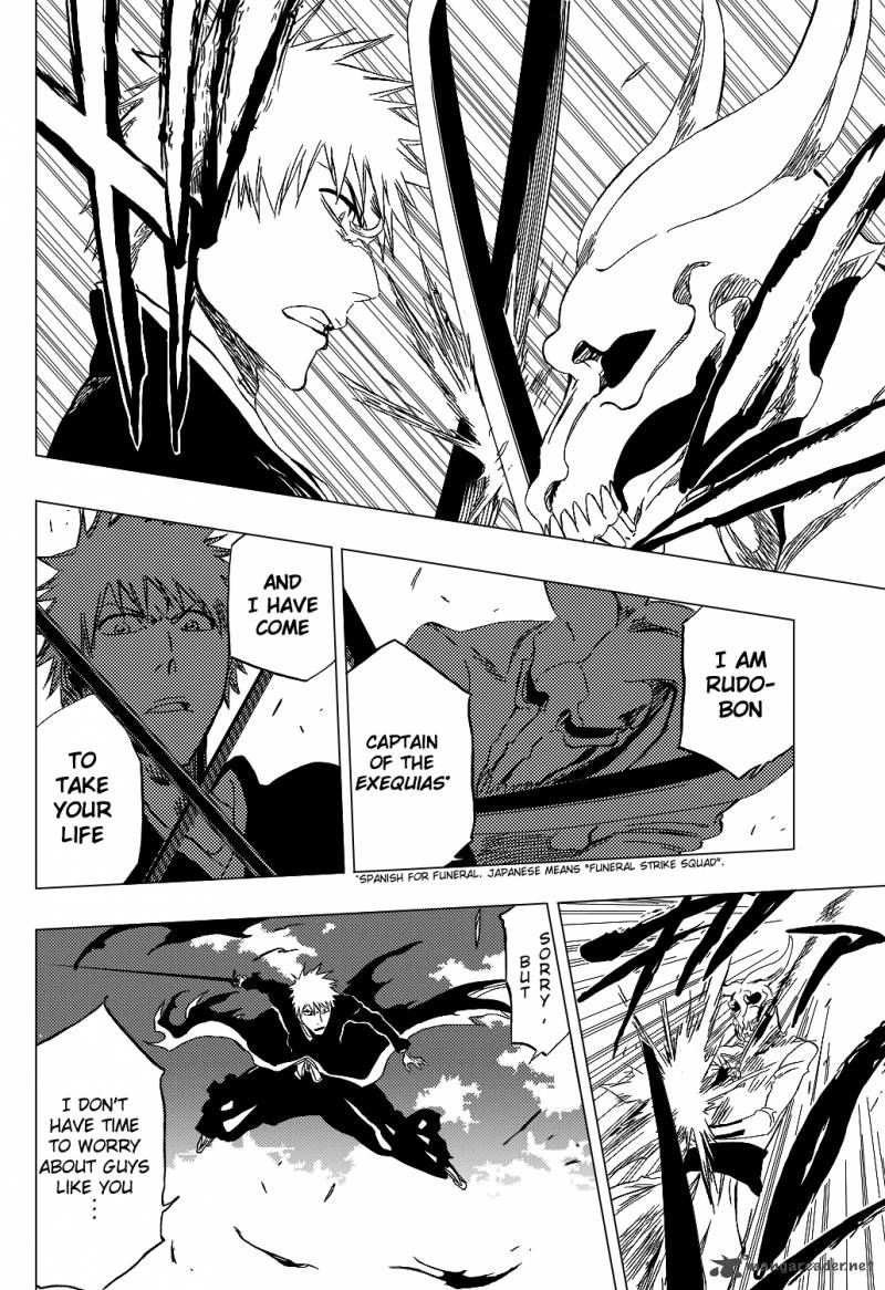 Bleach 317 13