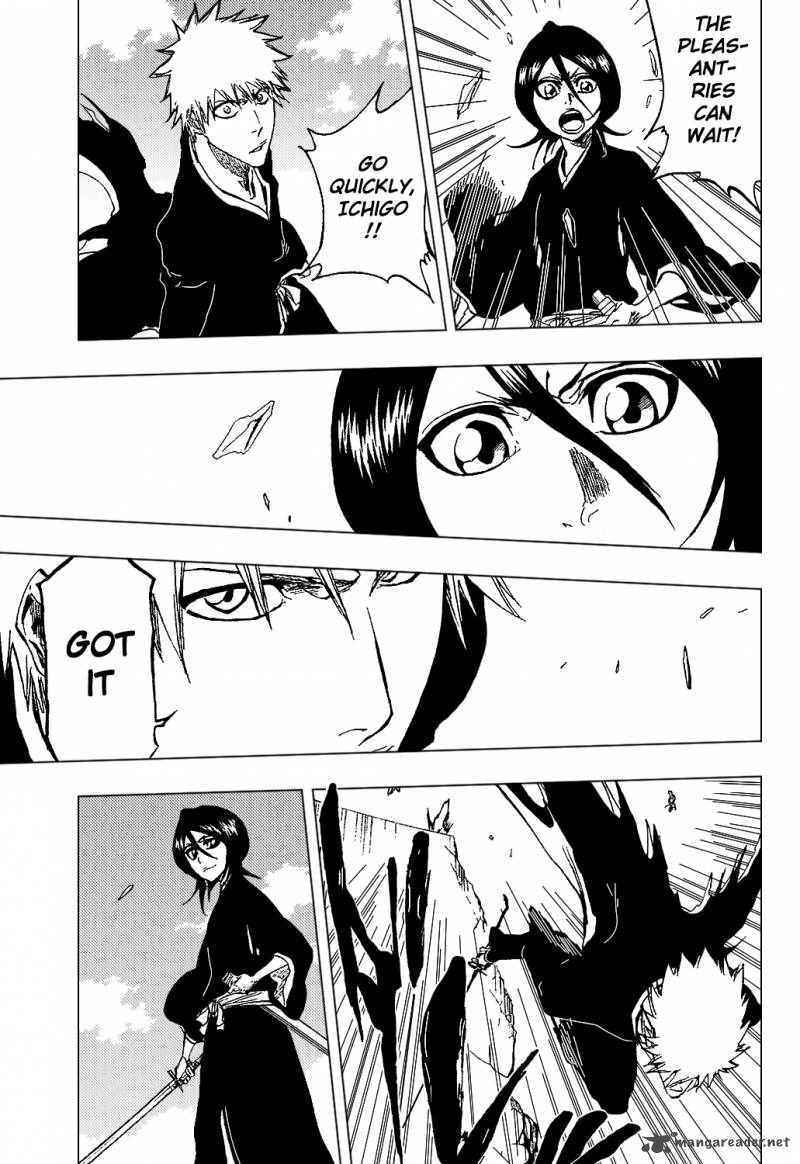 Bleach 317 20