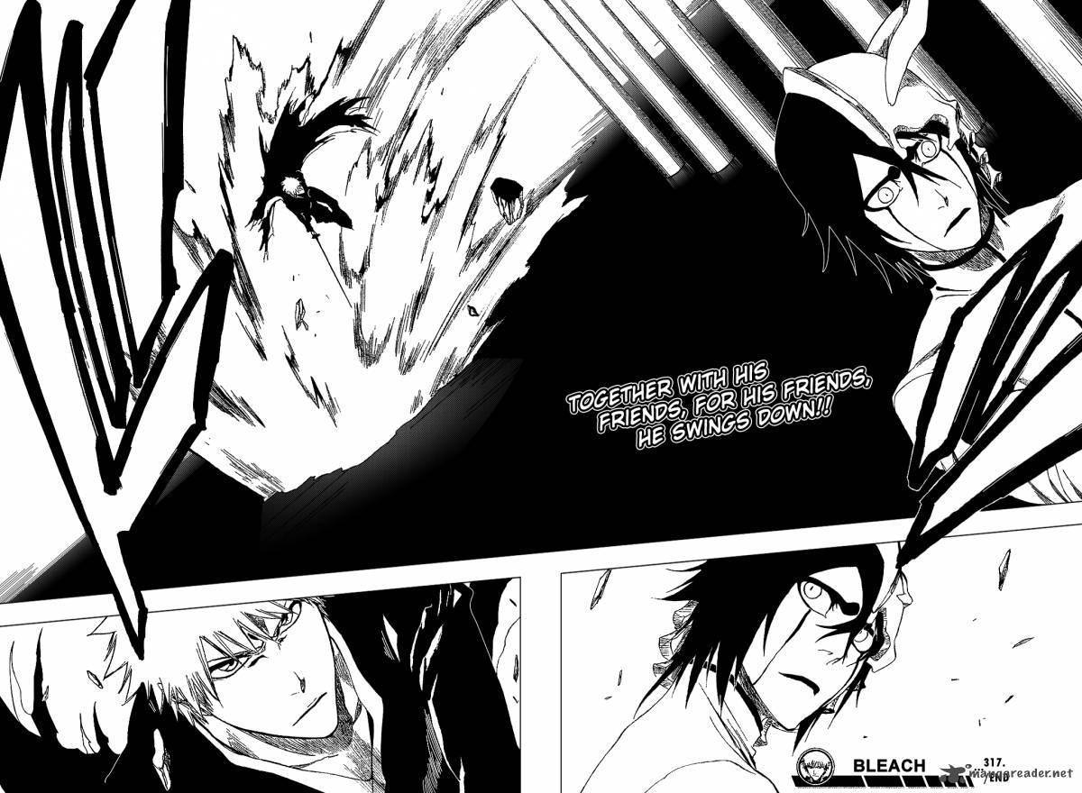 Bleach 317 23