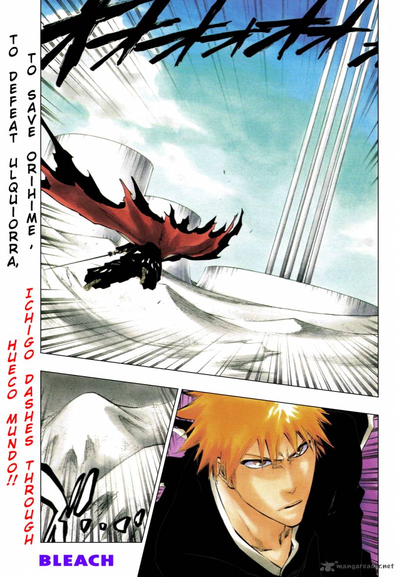 Bleach 317 4