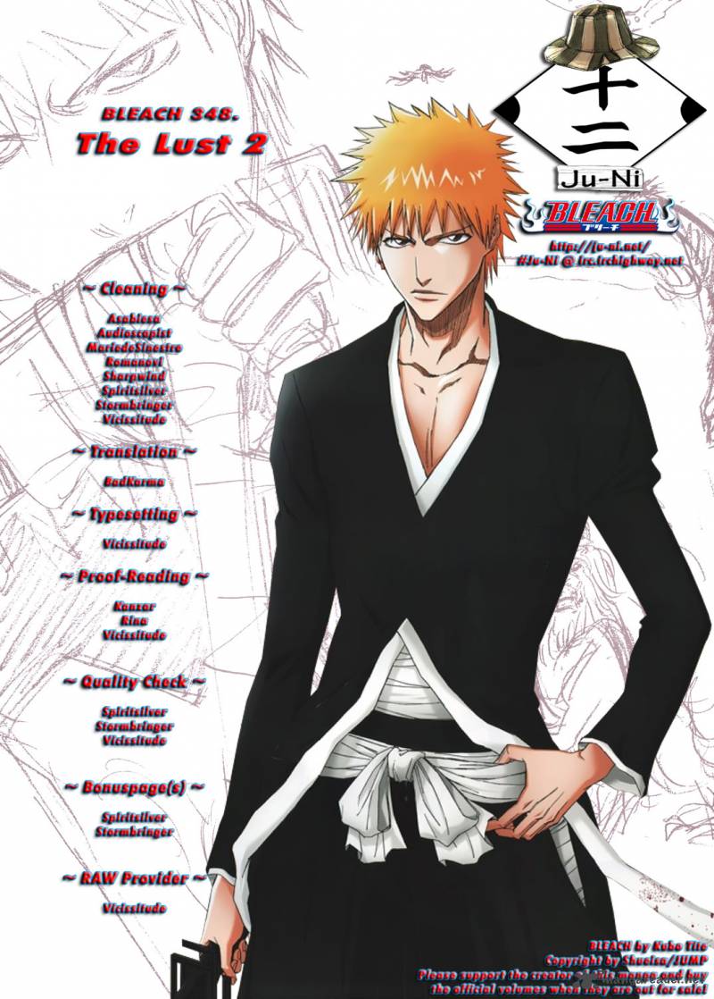 Bleach 348 1