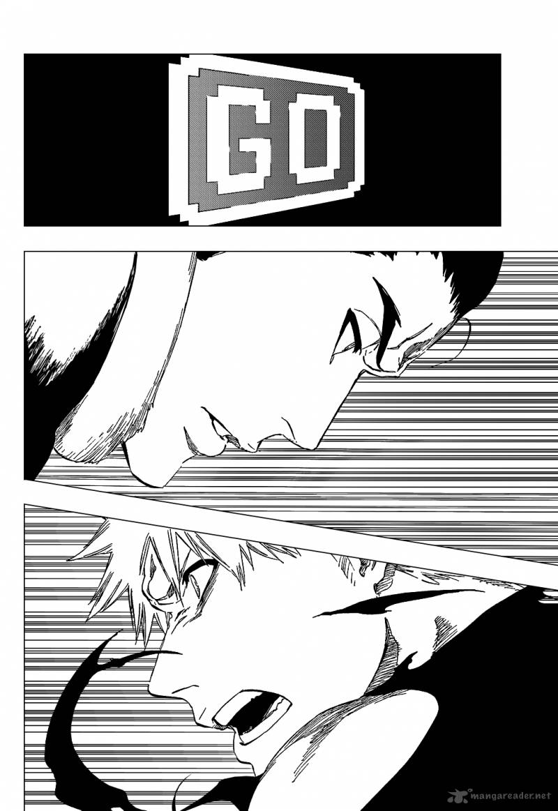 Bleach 448 13