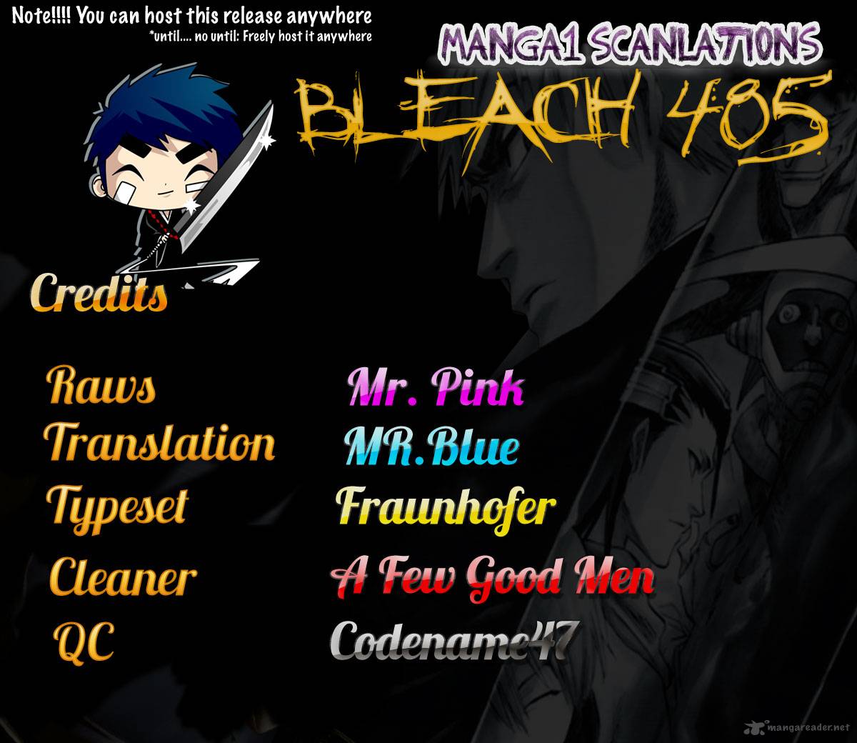 Bleach 485 18