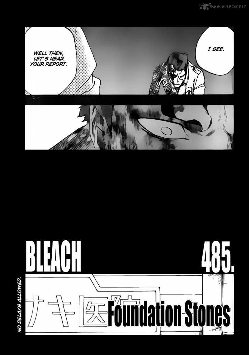 Bleach 485 3