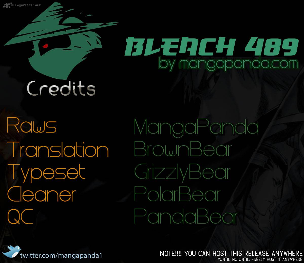 Bleach 489 18