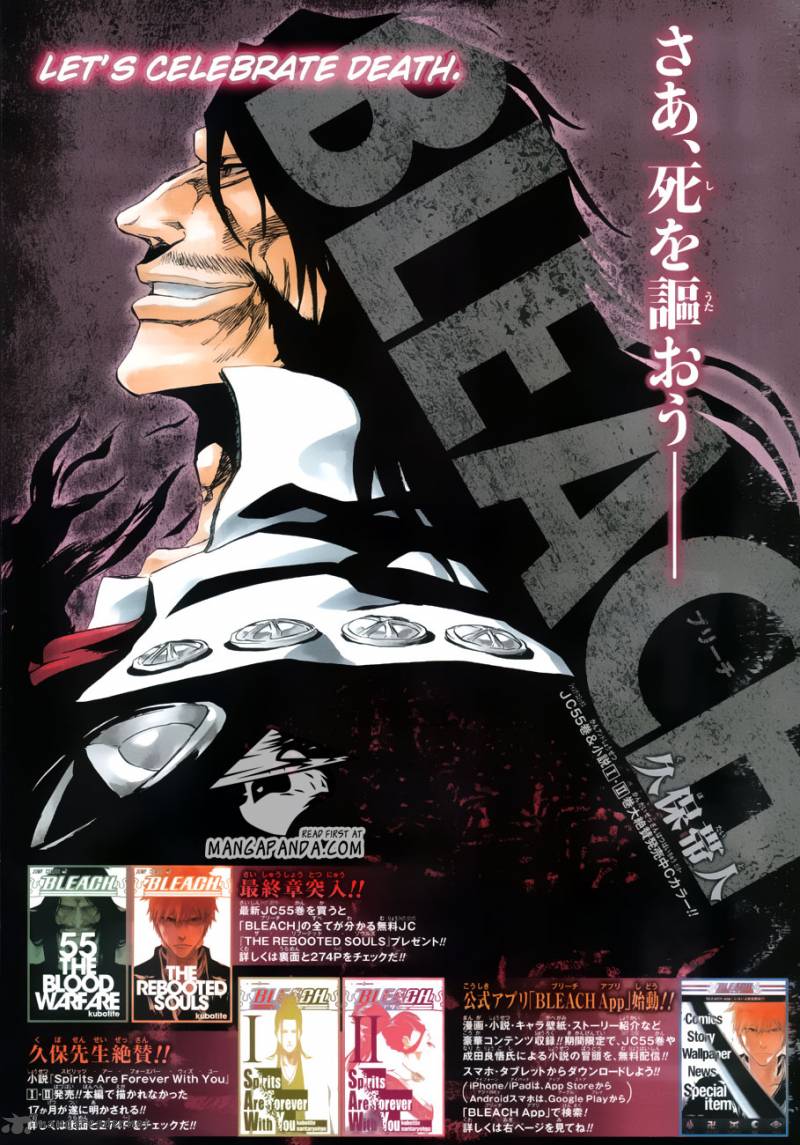 Bleach 495 1