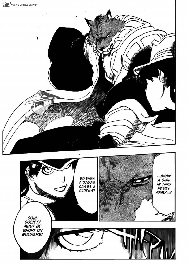 Bleach 495 12