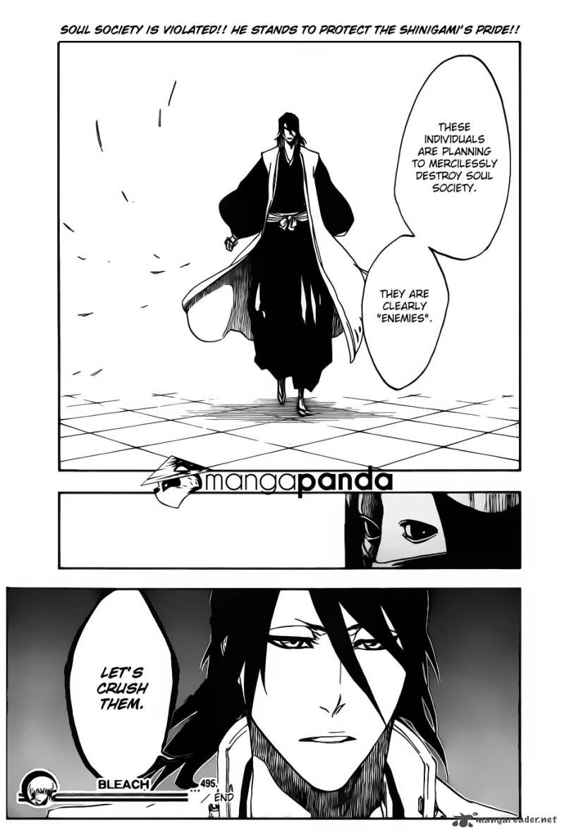 Bleach 495 18