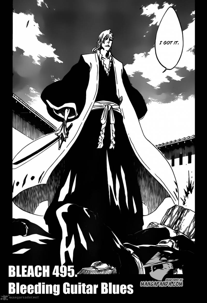 Bleach 495 3