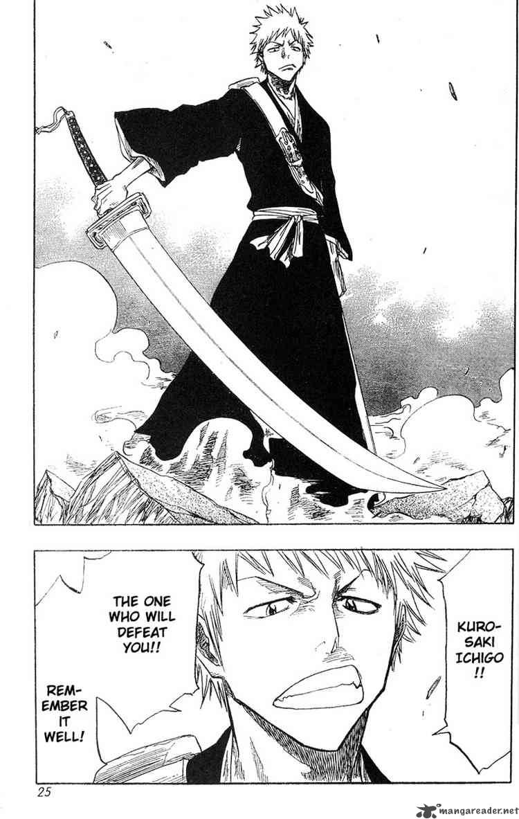 Bleach 53 21