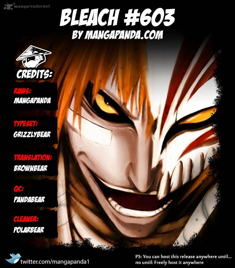 Bleach 603 18