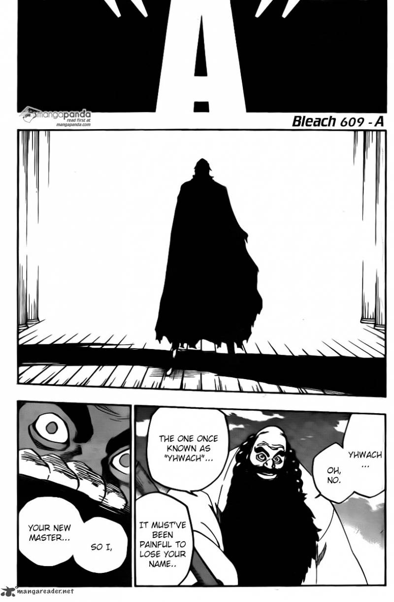 Bleach 609 3