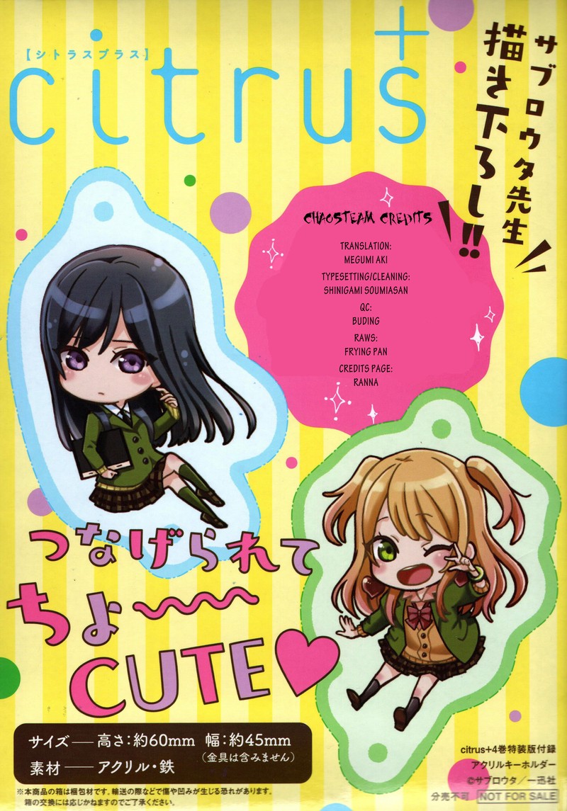 Citrus Plus 31e 19