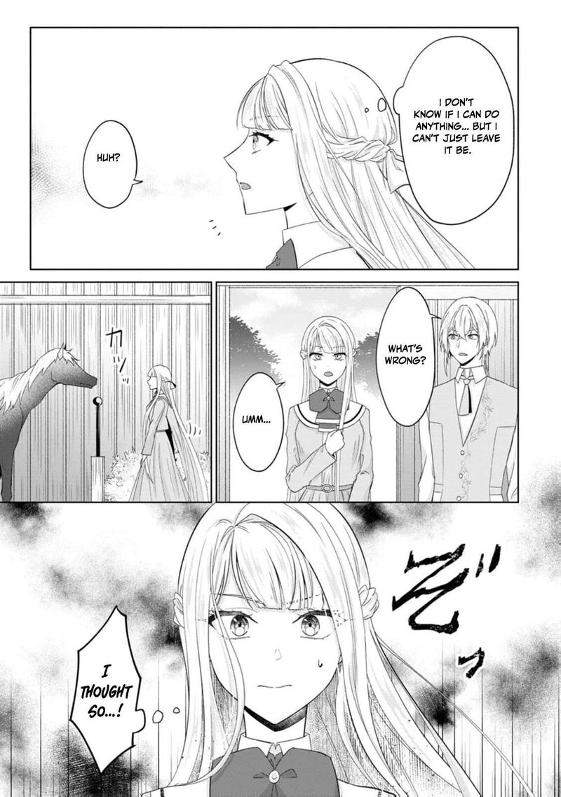 Danzaisareteiru Akuyaku Reijou To Irekawatte Konyakusha Tachi Wo Buttobashitara Dekiai Ga Matte Imashita 23 8