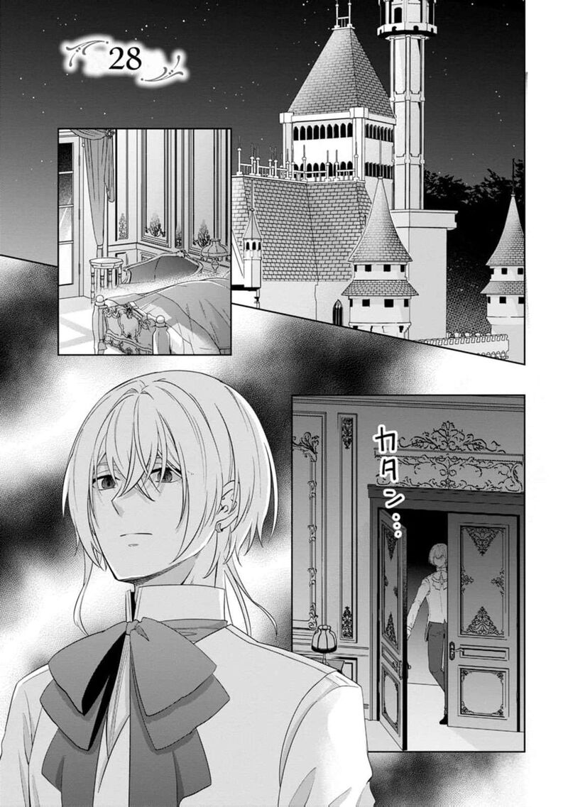 Danzaisareteiru Akuyaku Reijou To Irekawatte Konyakusha Tachi Wo Buttobashitara Dekiai Ga Matte Imashita 28 4