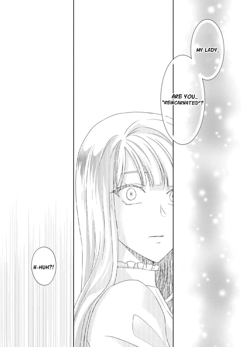 Danzaisareteiru Akuyaku Reijou To Irekawatte Konyakusha Tachi Wo Buttobashitara Dekiai Ga Matte Imashita 9 25