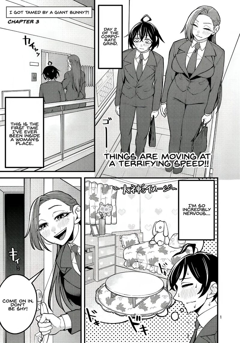 Dekai Usagi Ni Natsukareta 3 1
