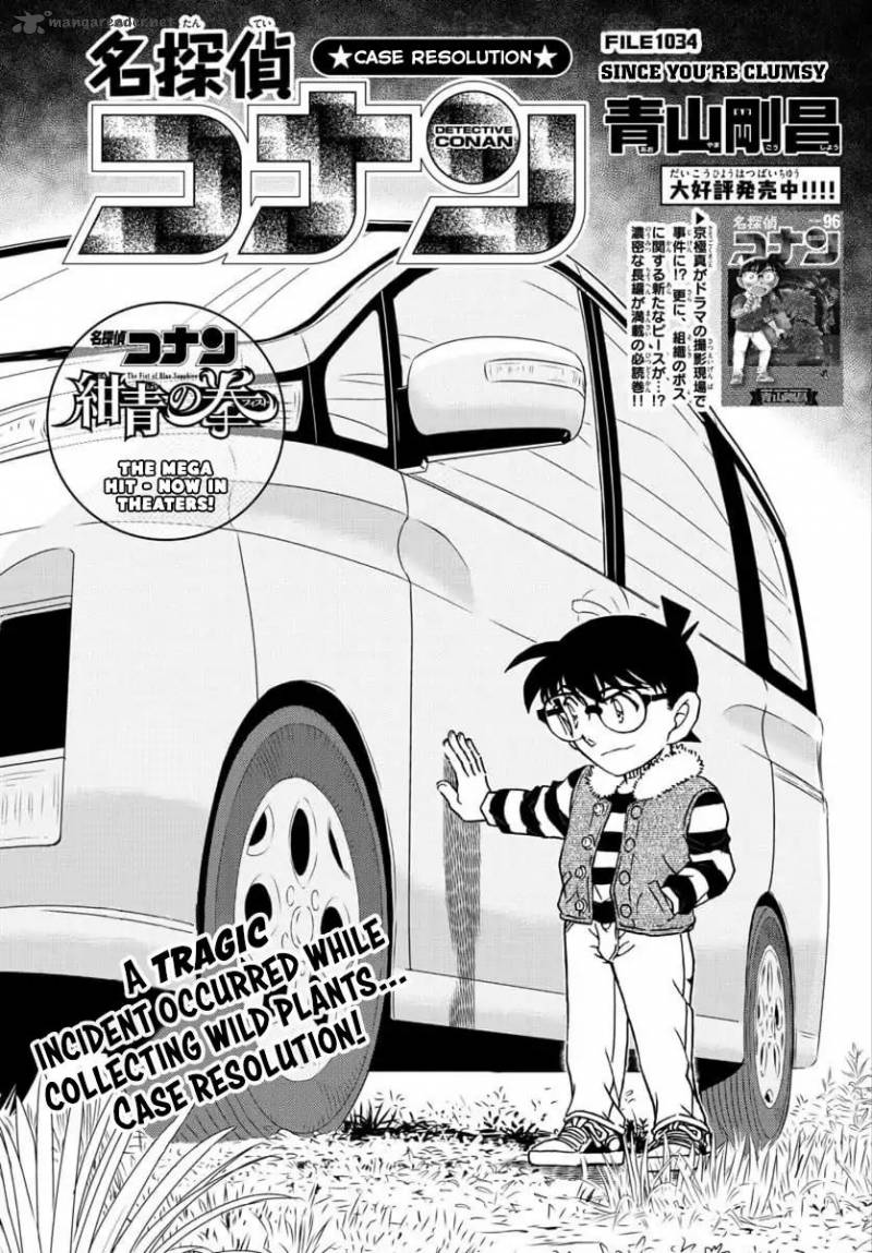 Detective Conan 1034 1