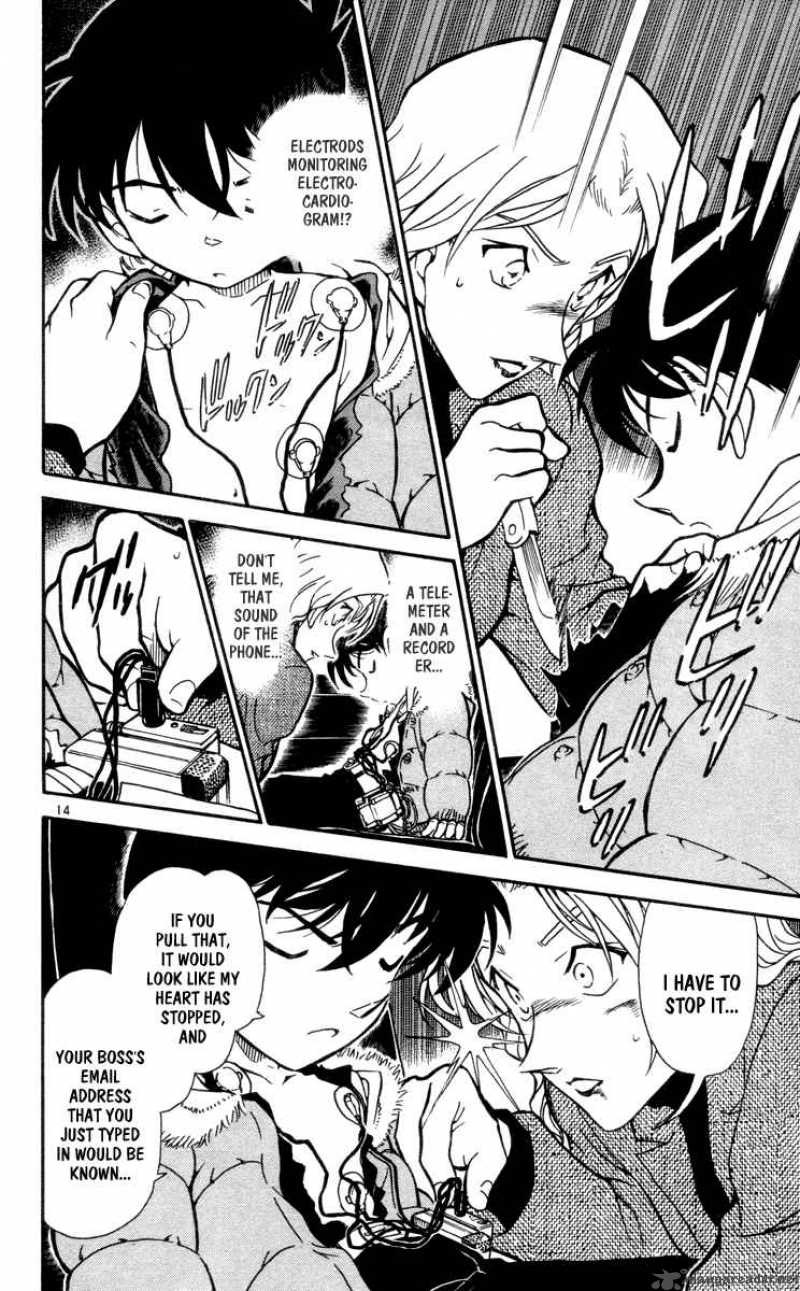 Detective Conan 434 14