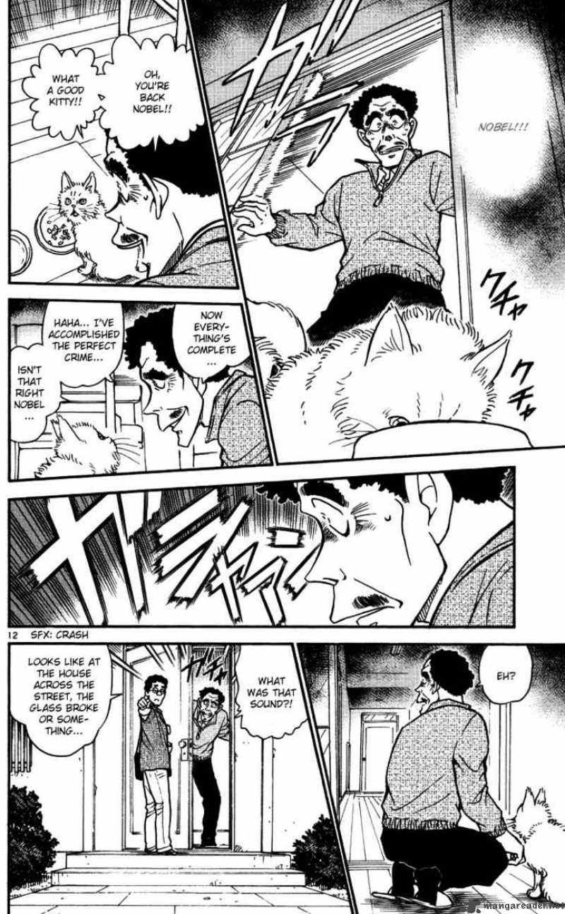 Detective Conan 538 12