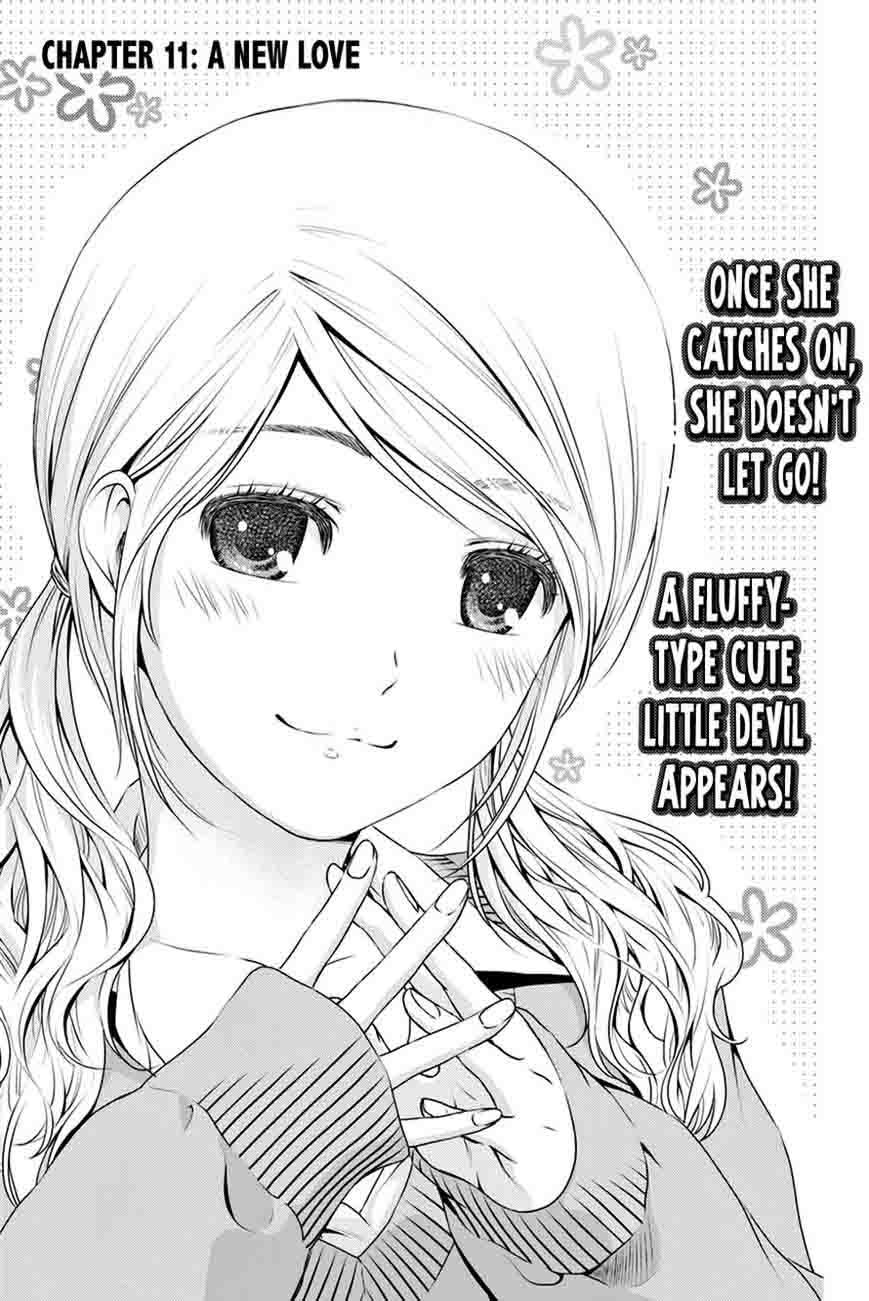 Domestic Na Kanojo 11 1