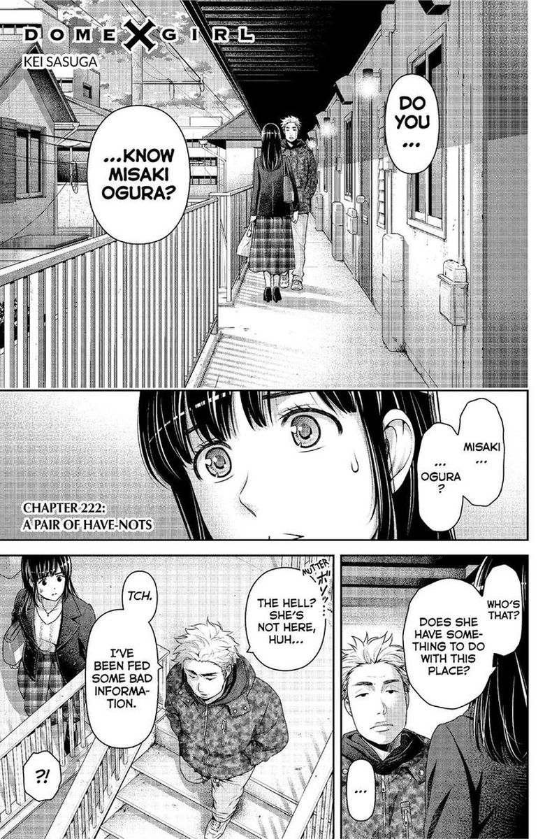 Domestic Na Kanojo 222 1