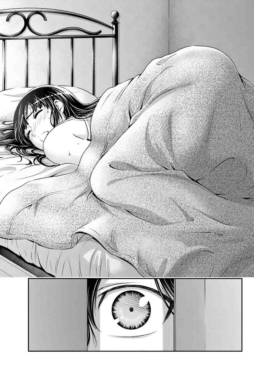 Domestic Na Kanojo 23 18