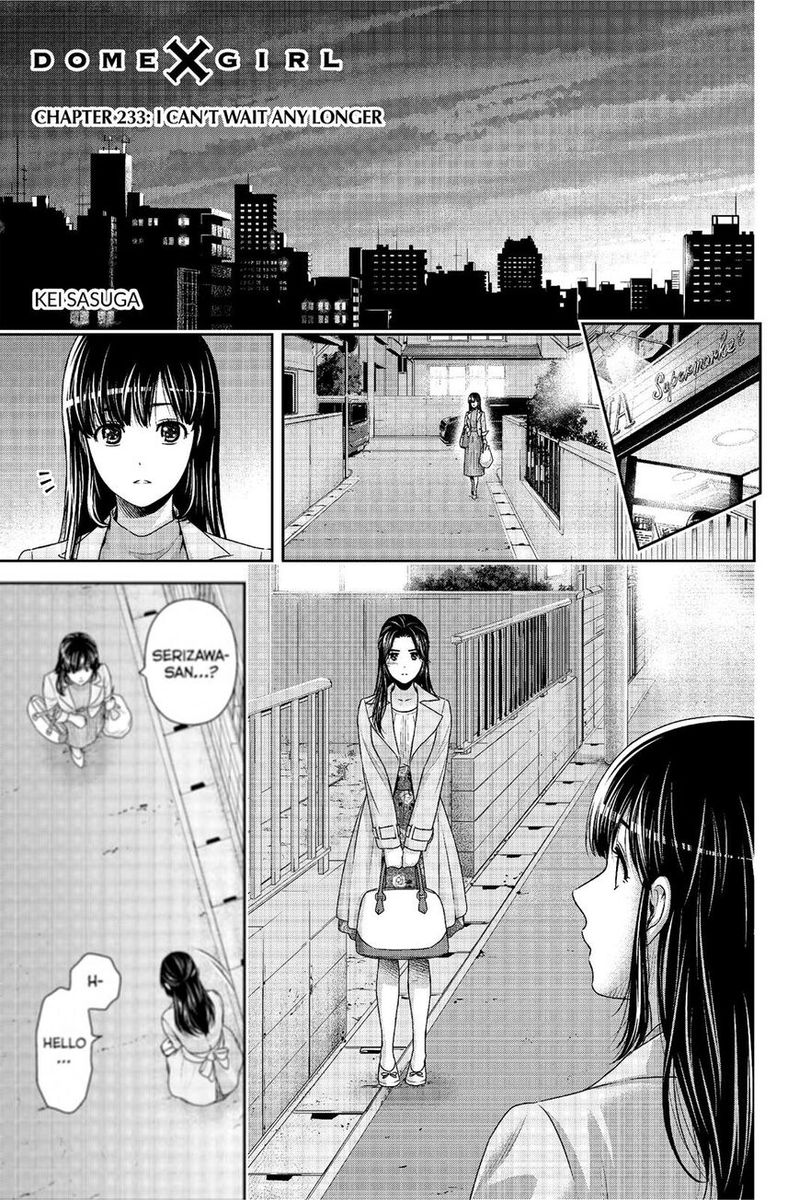 Domestic Na Kanojo 233 1