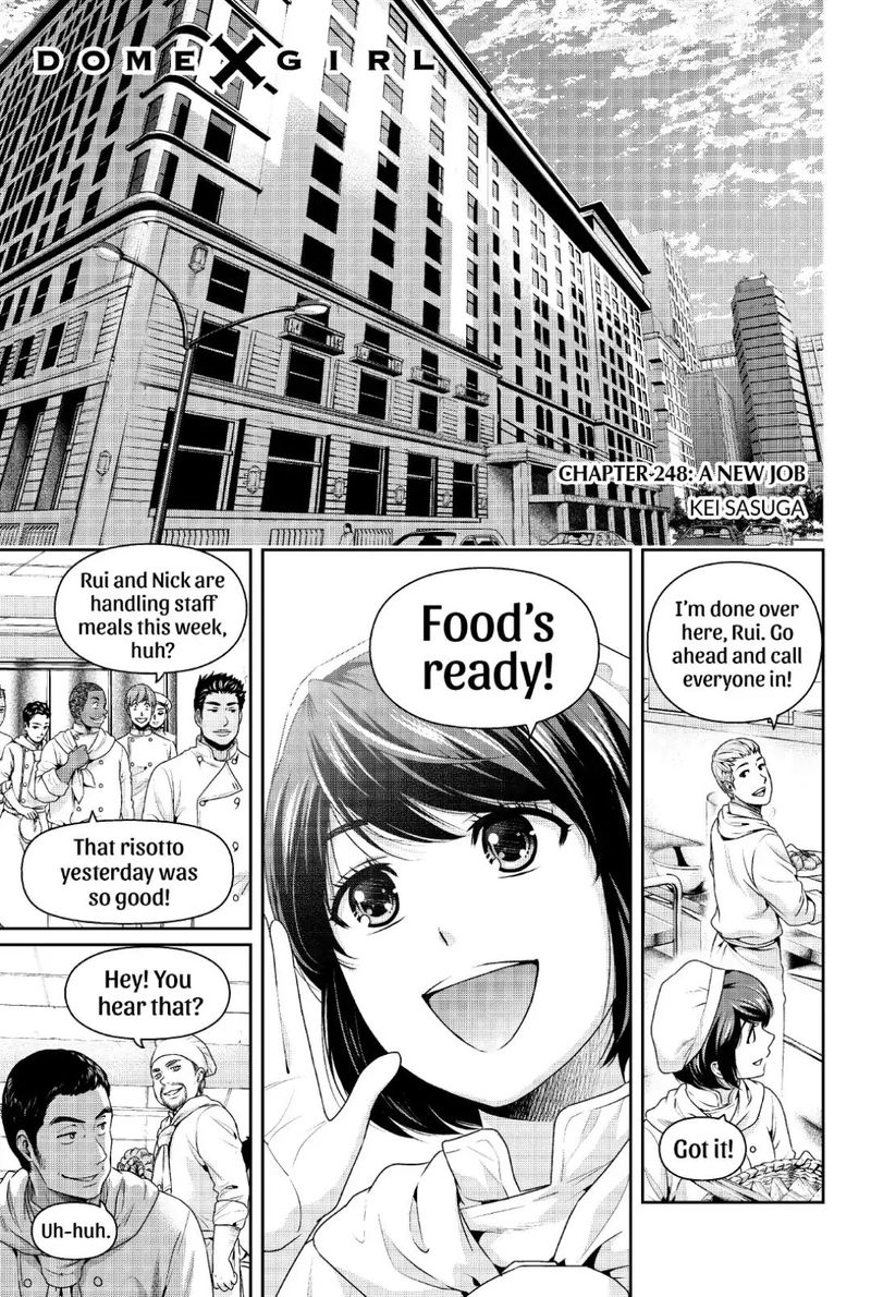 Domestic Na Kanojo 248 1