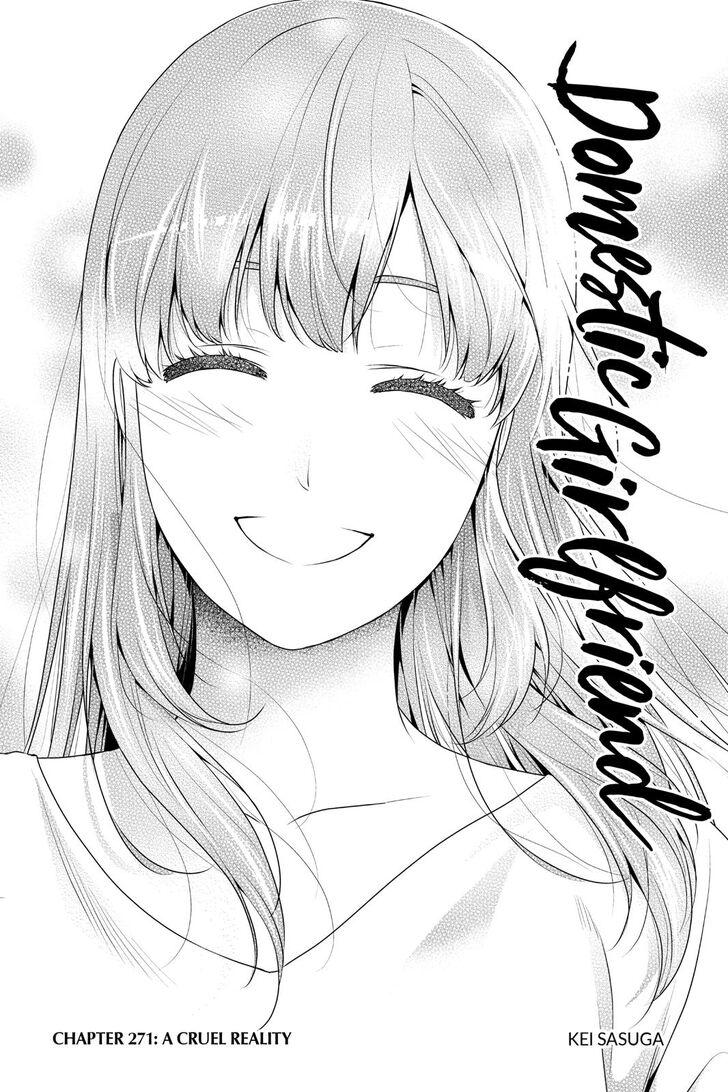 Domestic Na Kanojo 271 3