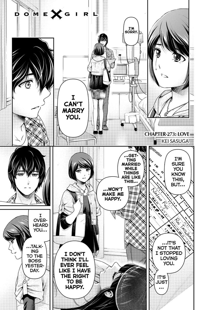 Domestic Na Kanojo 273 1