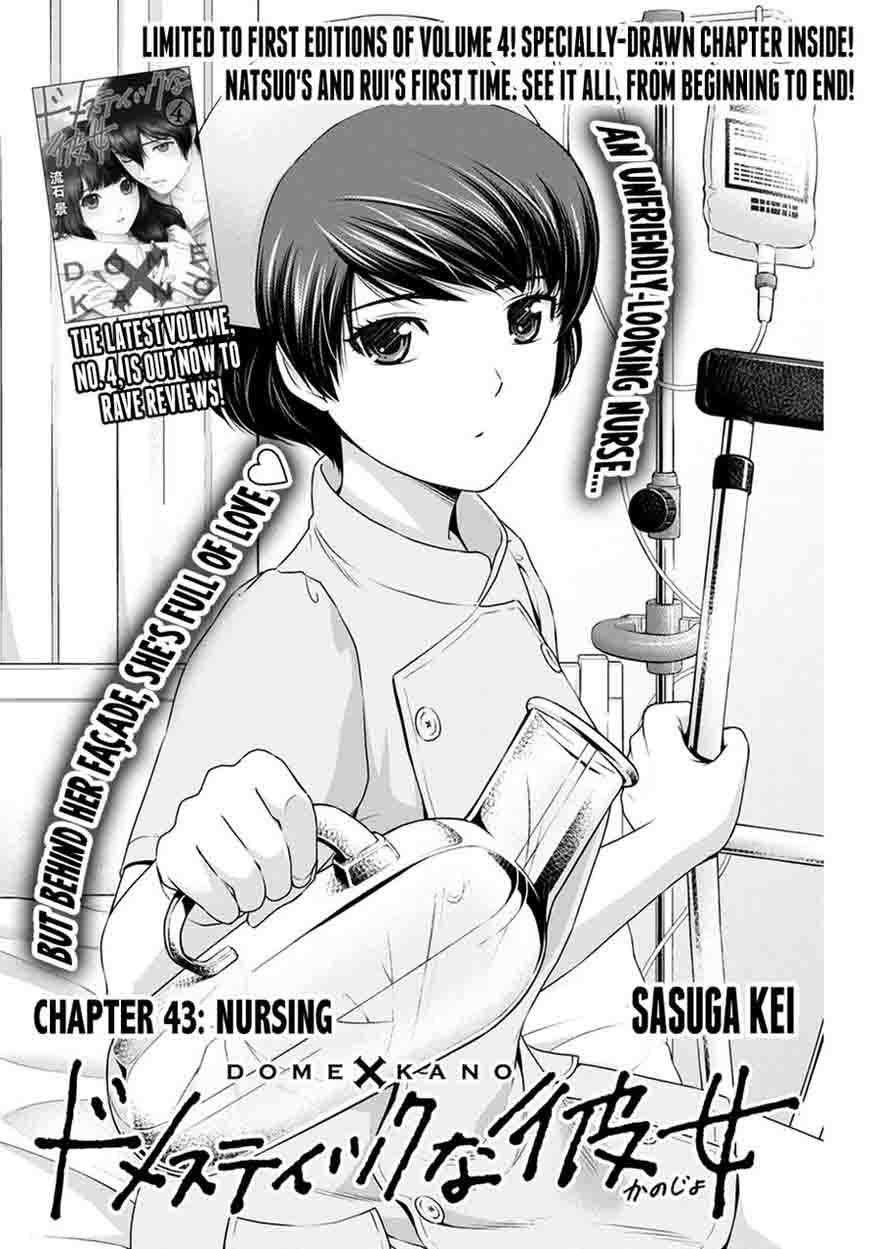 Domestic Na Kanojo 43 1