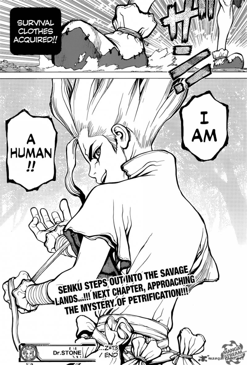 Dr Stone 13 19