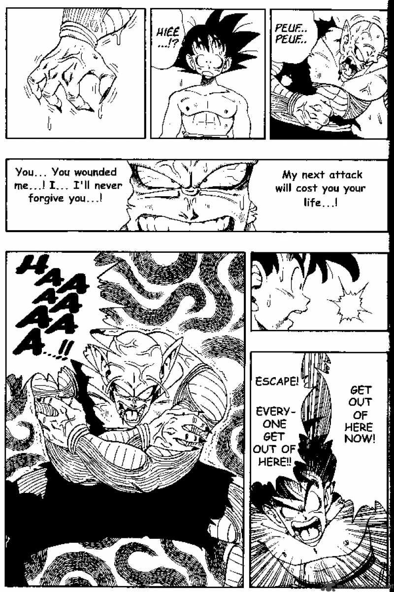 Dragon Ball 189 14