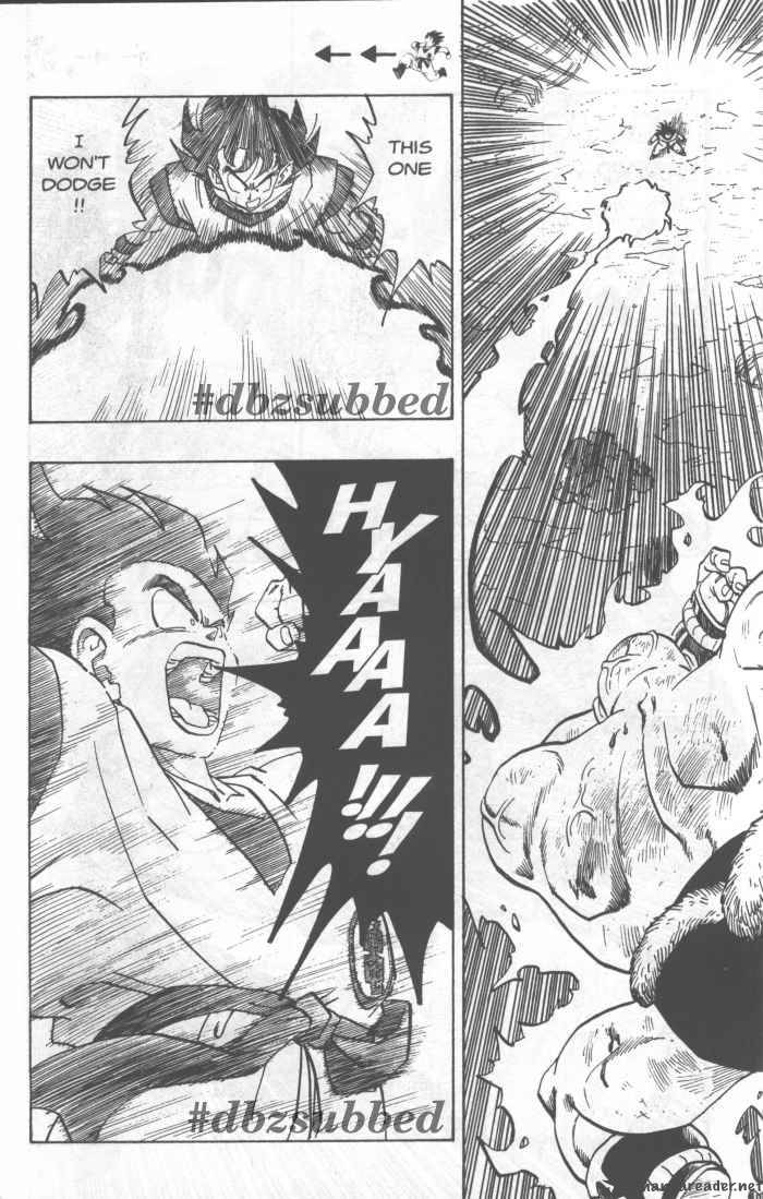 Dragon Ball 224 5