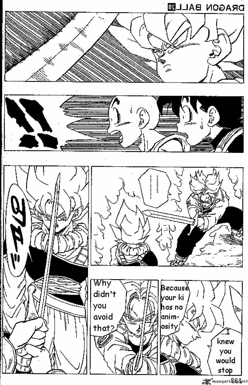 Dragon Ball 334 10