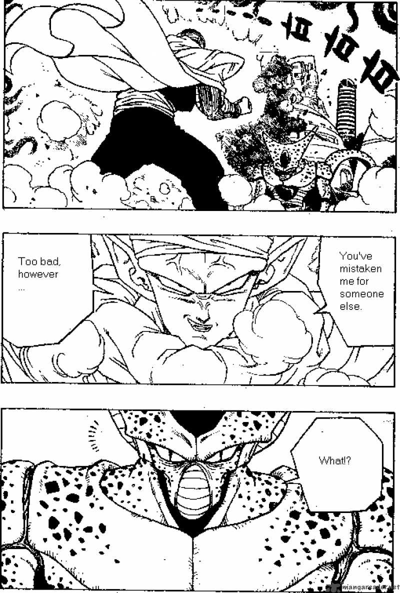 Dragon Ball 361 14