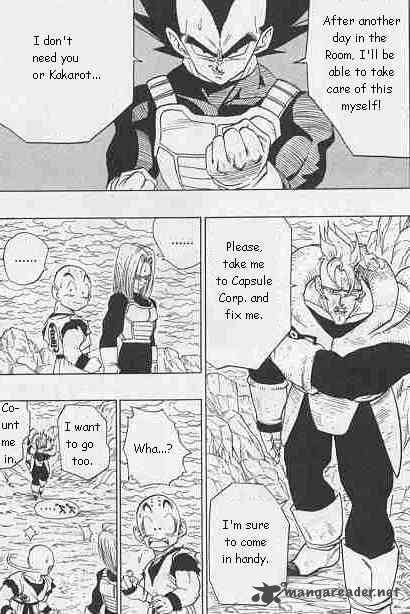 Dragon Ball 388 13