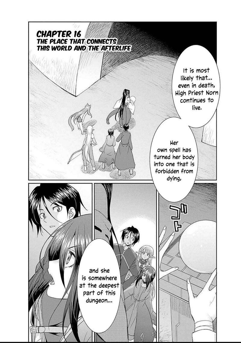 Elf Dorei To Kizuku Dungeon Harem Isekai De Netotte Nakama Wo Fuyashimasu 16 2