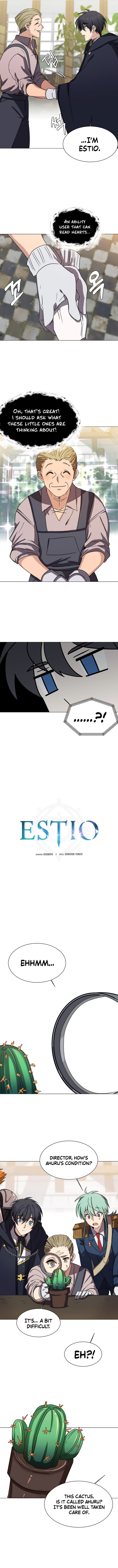 Estio 62 2