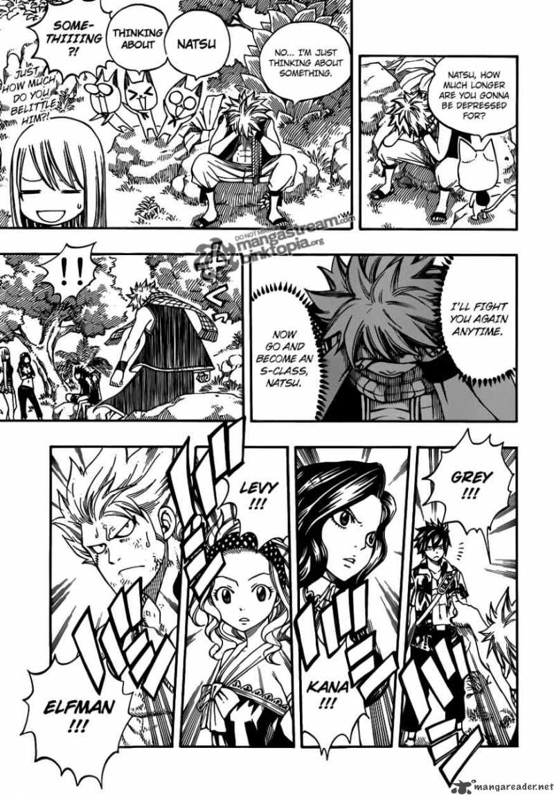 Fairy Tail 207 17