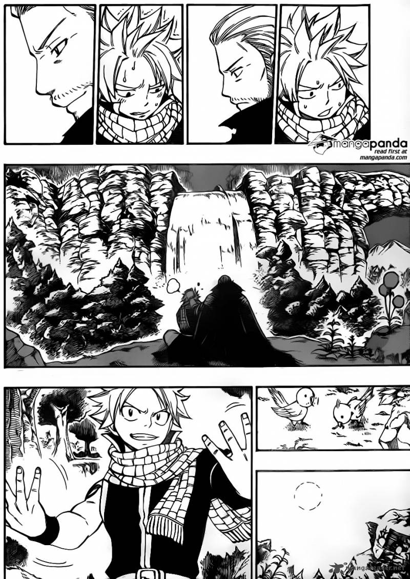 Fairy Tail 417 8