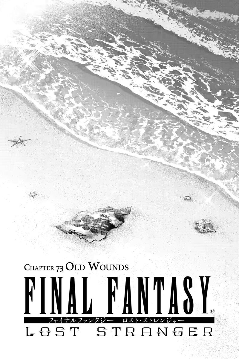 Final Fantasy Lost Stranger 73 1