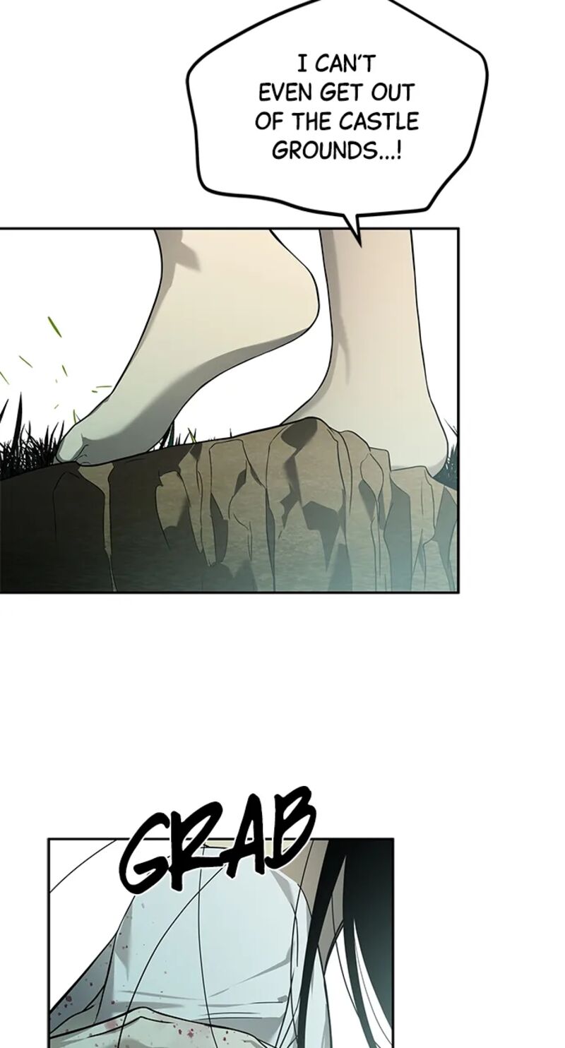 Gaku 12 19