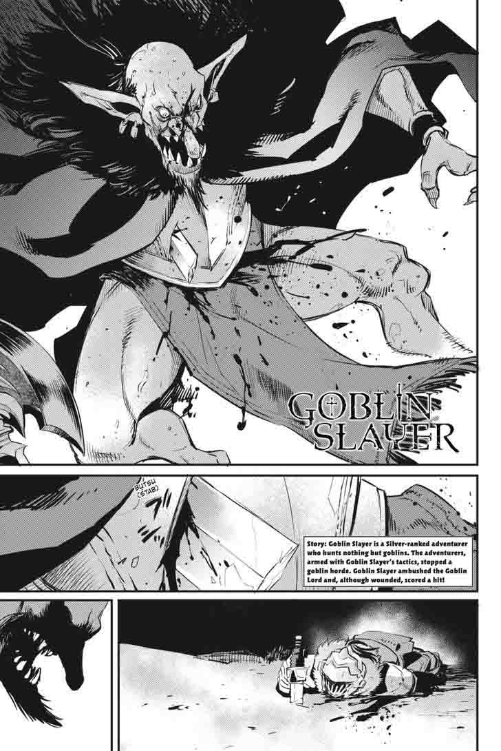 Goblin Slayer 15 2