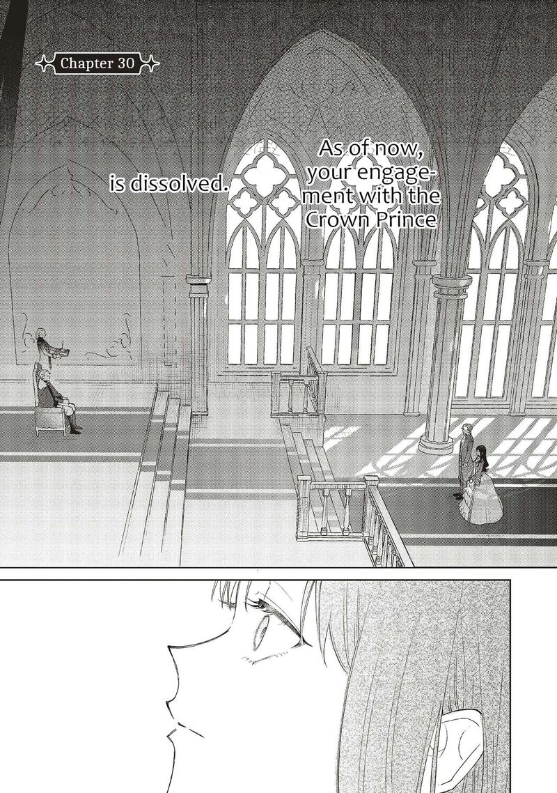 Gyakkou Shita Akuyaku Reijou Wa Naze Ka Maryoku Wo Ushinattanode Shinsou No Reijou Ni Narimasu 30 1