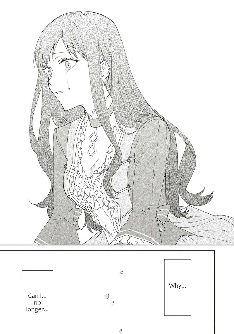 Gyakkou Shita Akuyaku Reijou Wa Naze Ka Maryoku Wo Ushinattanode Shinsou No Reijou Ni Narimasu 30 15