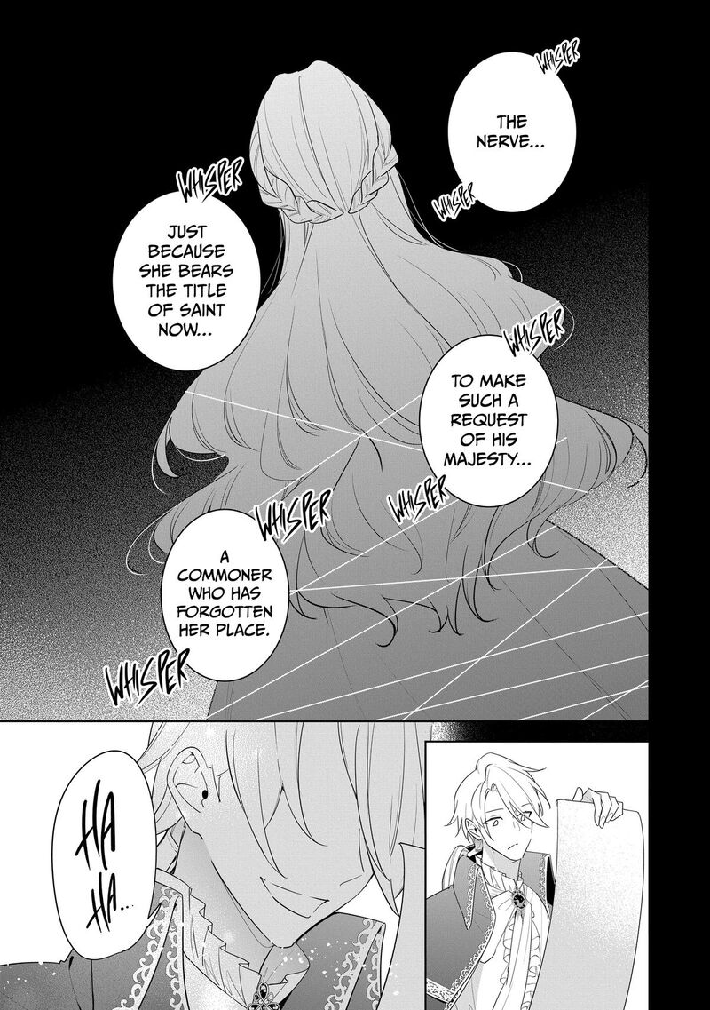 Gyakutaisarete Ita Shouka No Reijou Wa Seijo No Chikara Wo Te Ni Ire Mujikaku Ni Youshanaku Gyakushuu Suru 33 5